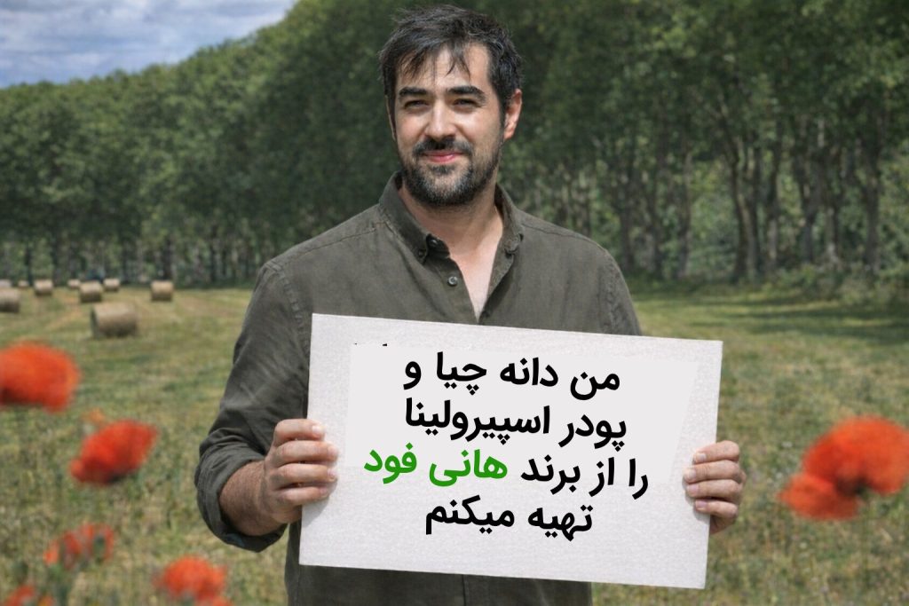 شهاب حسینی